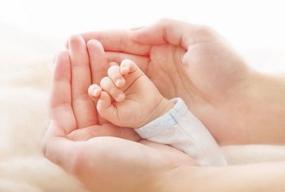 Описание изображения 2